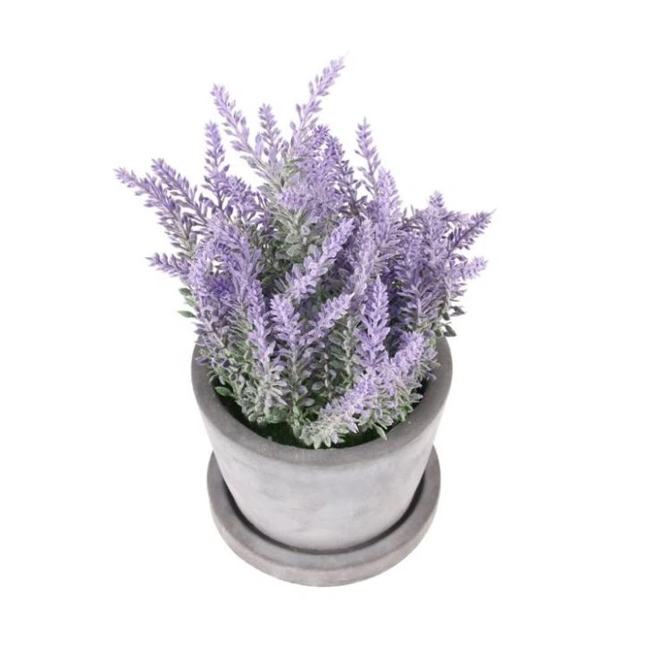 Artificial Plants Plastic Purple Colorful Flower