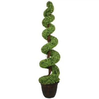 Spiral Topiary Tree Bonsai